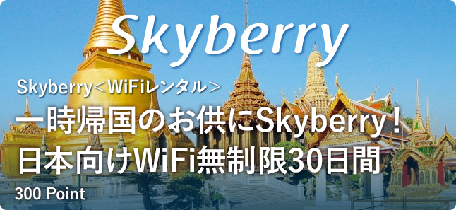 Skyberry WiFiレンタル